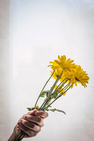 Mujer Sosteniendo Ramo Flores Amarillas Sobre Fondo Blanco — Foto de Stock