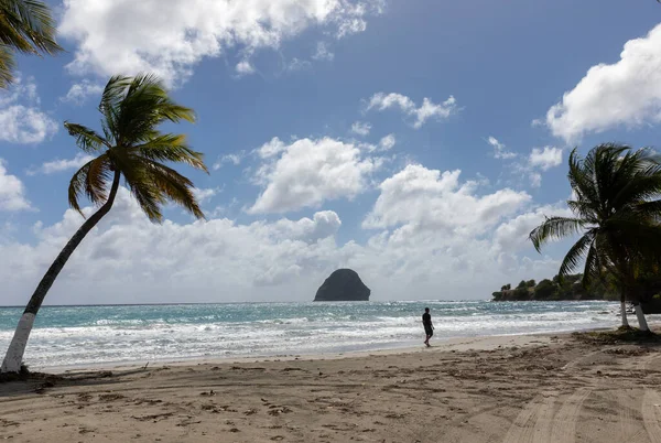 Homme Silhouette Marche Sur Belle Plage Avec Des Palmiers — Photo