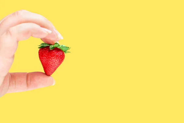 Human Hand Holding Strawberry Pastel Background — Stock Photo, Image