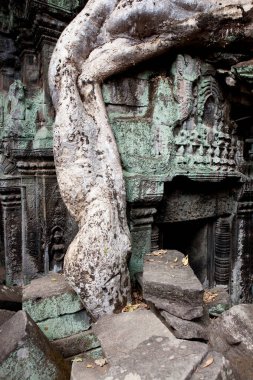 Angkor Wat 'ın tapınağına giriyoruz.