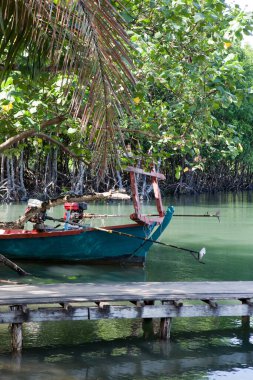 Issız bir tekne, yoğun bir mangrov ormanında, iskelede.