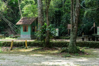 Ormandaki eski ahşap ev