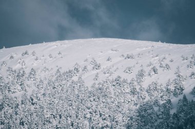 Dağ tepesinde kar üstüne kış ağaçları bulutlu gökyüzüne karşı.