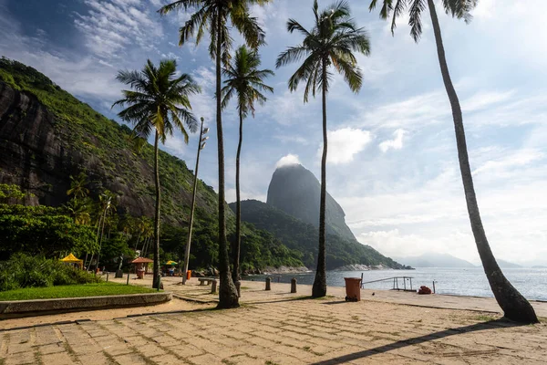 Sahildeki Hindistan Cevizi Palmiyelerine Sugar Loaf Dağı Güzel Bir Manzara — Stok fotoğraf