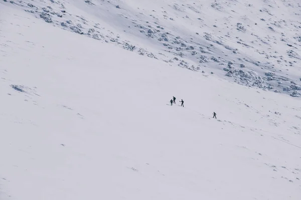バックカントリースキーヤーの認識できないグループが丘を登って Guadarrama — ストック写真