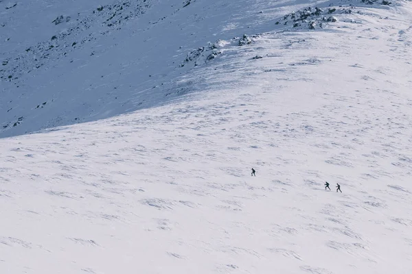 Αναγνωρίσιμη Ομάδα Σκιέρ Της Backcountry Ανεβαίνει Λόφο Sierra — Φωτογραφία Αρχείου