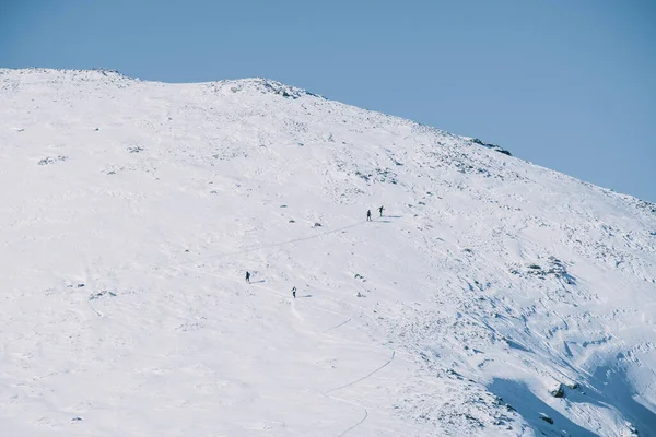 group of backcountry skiers going up hill, Guadarrama, Madrid