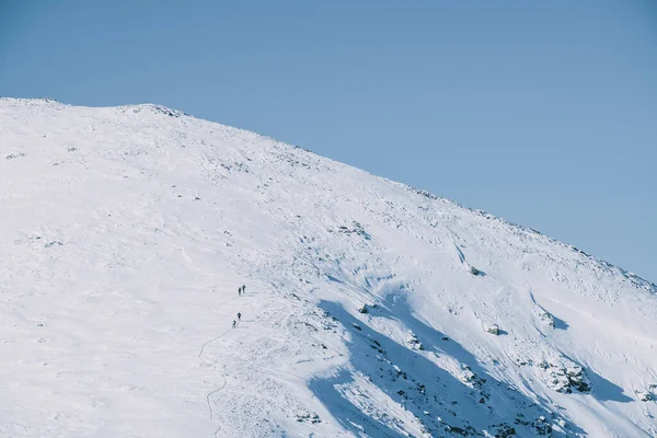 Backcountry Síelők Csoportja Felmegy Dombra Guadarrama Madrid — Stock Fotó