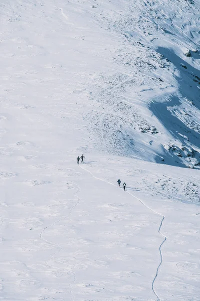バックカントリースキーヤーのグループは 山のピークに対して 丘の上に行く — ストック写真