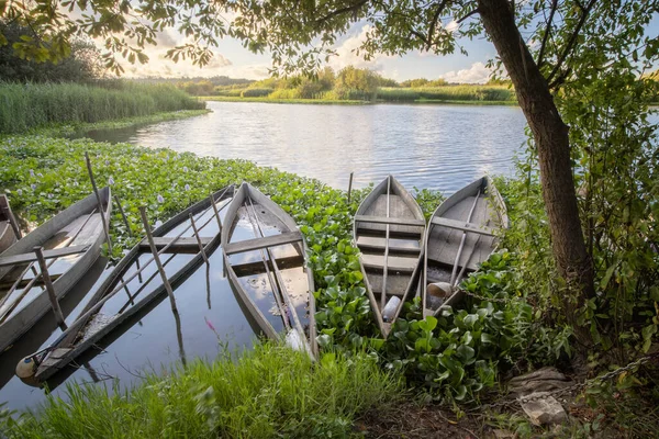 泻湖日落时的一组木船 — 图库照片