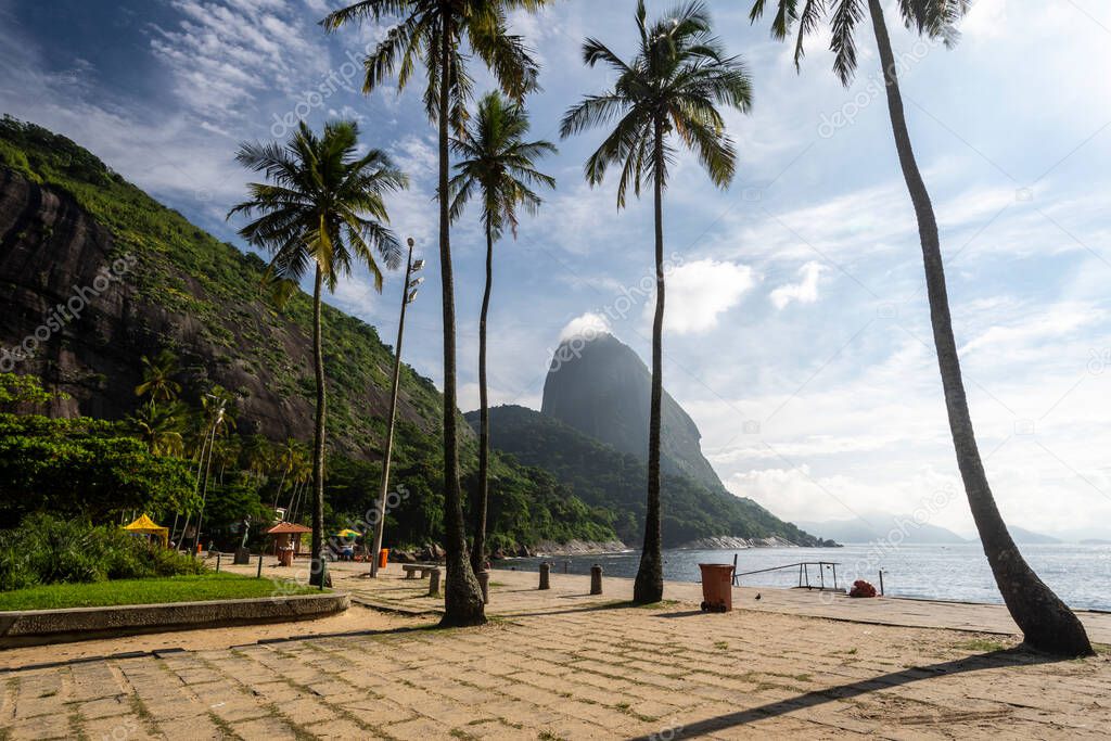 Beautiful view to coconut palm trees on beach and Sugar Loaf Mountain