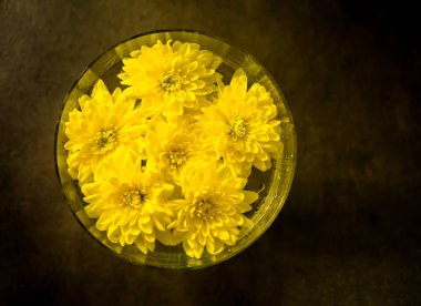 Sarı kasımpatı çiçekleri cam içinde suyun içinde yüzer.