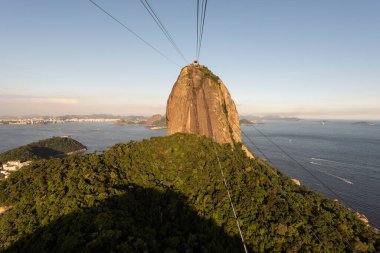Şeker Loaf dağ teleferiğinden Rio de Janeiro, Brezilya 'daki yağmur ormanlarına güzel bir manzara