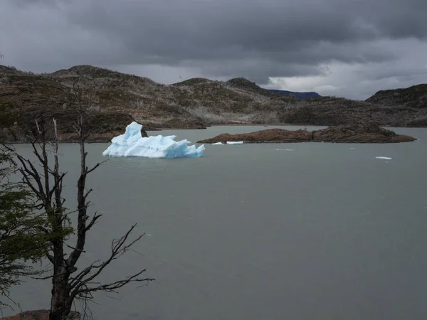 Isberg Som Flyter Vid Sjö Torres Del Paine Nationalpark — Stockfoto