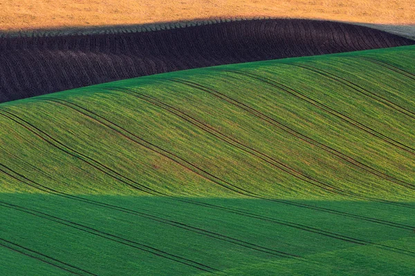 Kuzey Slovakya Daki Turiec Bölgesinin Kırsal Manzarası — Stok fotoğraf