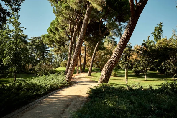 Schilderachtige Landschap Van Smalle Lege Pad Gaan Midden Van Hoge — Stockfoto