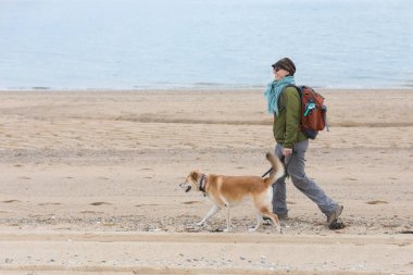 Provincetown plajında köpeğini tasmayla gezdiren bir kadın.