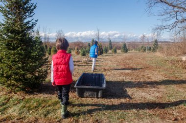 İki çocuk bir ağaç çiftliğinde büyük bir kızakla birlikte yürüyorlar.