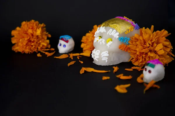 糖骷髅和仙人掌花 纪念死者的日子 墨西哥 — 图库照片