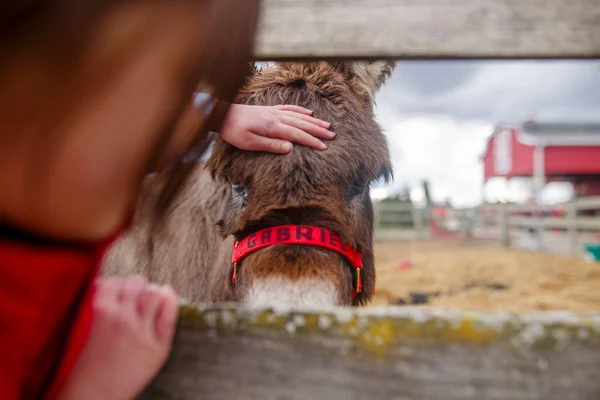 Close Van Een Klein Kind Reikt Door Hek Naar Een — Stockfoto