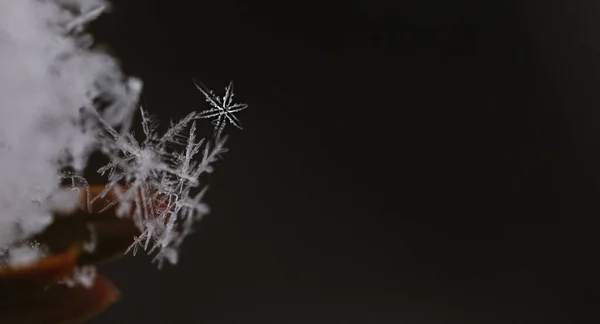 Nahaufnahme Einer Schneeflocke Freien Einem Wintertag — Stockfoto