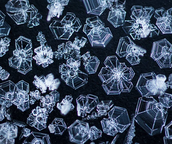 Macro Image Frost Crystals Black Background — Stock Photo, Image