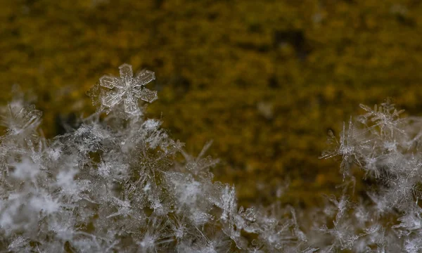 Närbild Snöflinga Utomhus Vinterdag — Stockfoto