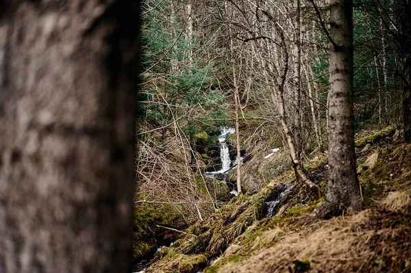 Small Rapid Waterfall Flowing Rocky Slope Covered Dry Grass Leafless — Stock Photo, Image