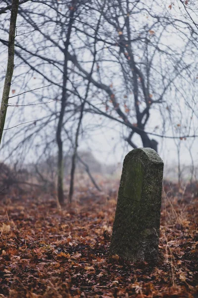 Viejo Cementerio Abandonado Durante Niebla Otoño —  Fotos de Stock