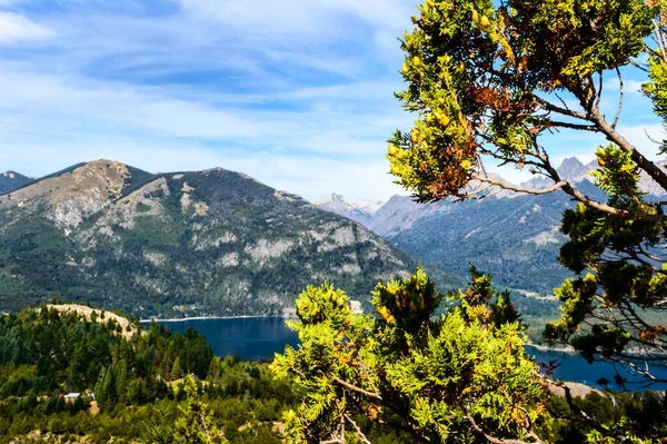 Bariloche Március Nyarán Sunny Vagyok Víz Fenyőfák — Stock Fotó