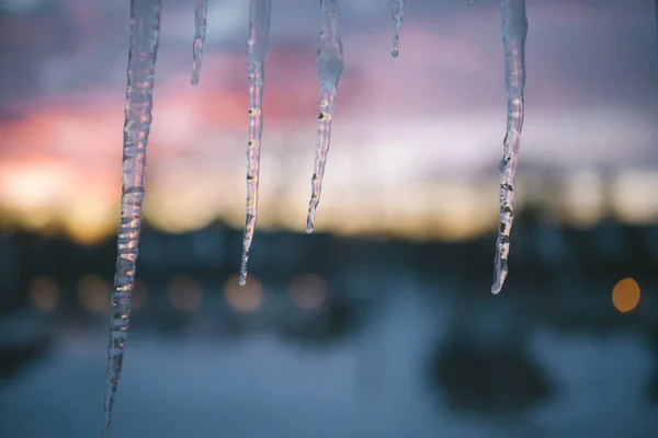 Close Icicles Com Pôr Sol Fundo — Fotografia de Stock