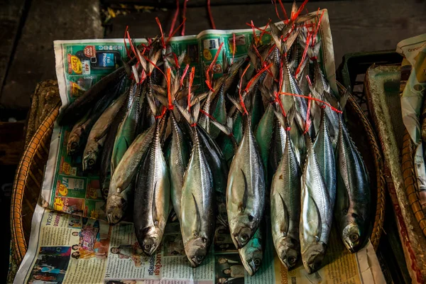 Una Pila Hermosos Peces Azules Descanso Cesta Mercado Damnoen — Foto de Stock