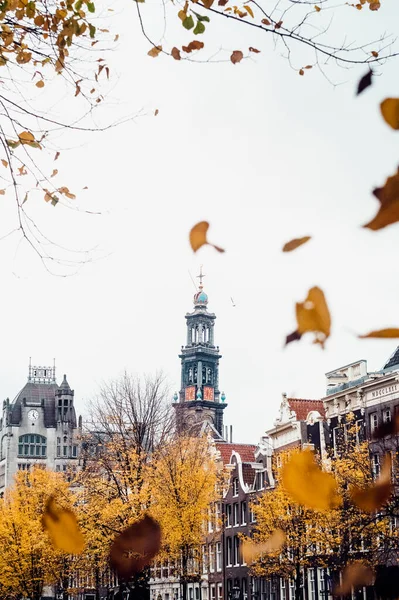 秋天在阿姆斯特丹 树叶落在教堂的塔楼周围 — 图库照片