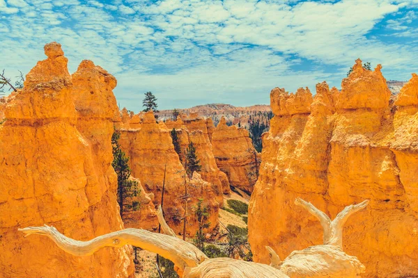 Beautiful View Rocky Canyon National Park —  Fotos de Stock