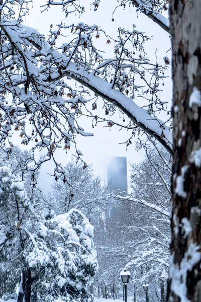 Una Vista Invierno Las Cuatro Torres Madrid Vista Desde Parque — Foto de Stock