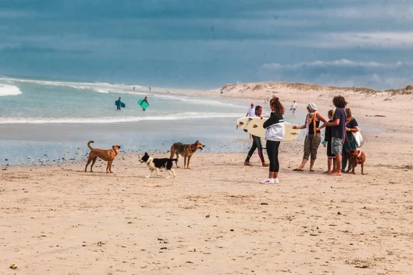 Люди Їхні Домашні Улюбленці Насолоджуються Днем Пляжі — стокове фото