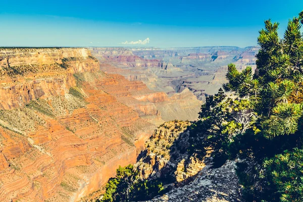 Grand Canyon View Arizona Usa — Stockfoto