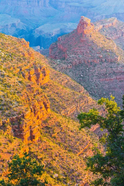 Blick Auf Den Grand Canyon Arizona Usa — Stockfoto