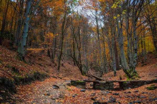 Naturlandschaft Von Cantalojas Guadalajara — Stockfoto