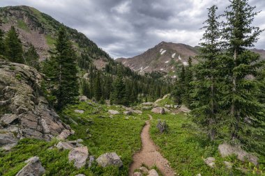 Trail in the Eagles Nest Wilderness, Colorado clipart