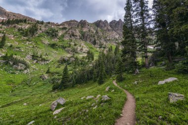 Colorado 'daki Kartallar Yuvası' nda Yürüyüş Yolu