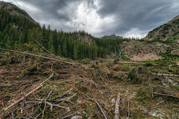 Avalanche Puin Veld Eagles Nest Wilderness Colorado — Stockfoto