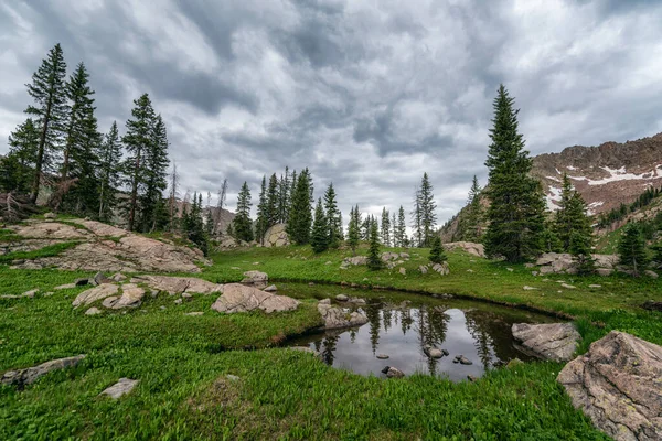 Landschaft Der Adlernest Wildnis Colorado — Stockfoto