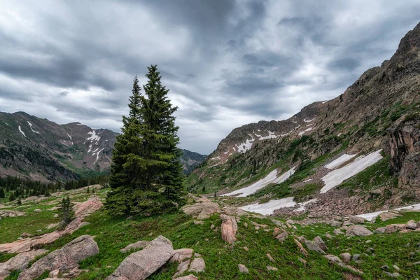 Paisaje Nido Águilas Wilderness Colorado — Foto de Stock