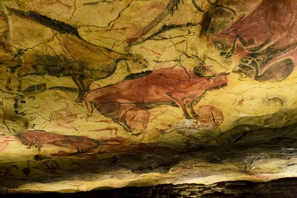 Pinturas Rupestres Del Paleoltico Cueva Altamira — Stok fotoğraf