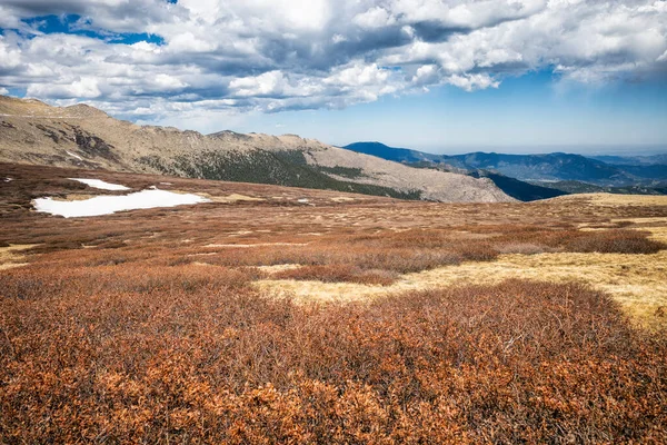 Paisaje Monte Evans Wilderness Colorado — Foto de Stock