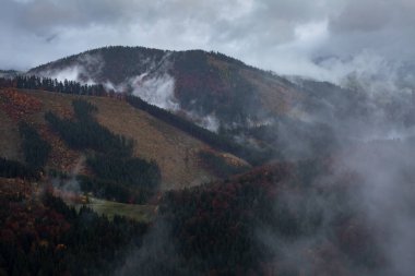 Velka Fatra Ulusal Parkı 'nın Sonbahar Ormanları, Orta Slovakya