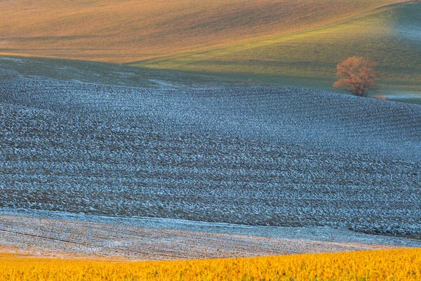 Сільський Ландшафт Турицького Краю Півночі Словаччини — стокове фото