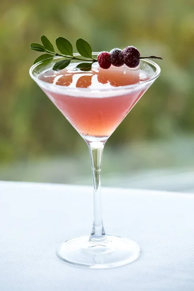 Glass Fresh Red Currant Cocktail White Wooden Table — ストック写真