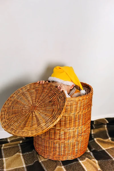 Słodkie Dziecko Chłopiec Siedzieć Słoma Kosz Ukryć Twarz Żółty Czapka — Zdjęcie stockowe